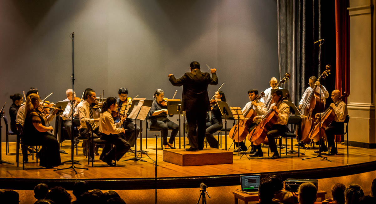 Orquesta De Cámara De La Universidad Michoacana,