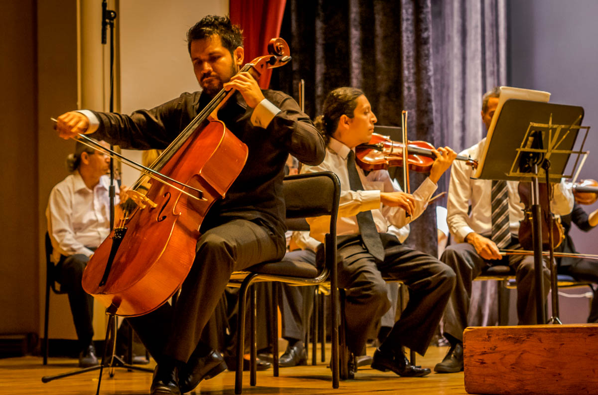 Orquesta De Cámara De La Universidad Michoacana,