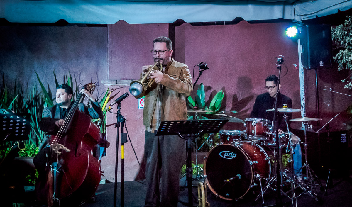 Jazz en La UNAM - Jazmín David (voz), Flavio Meneses (guitarra), Luis Wence (contrabajo), Lalo Torres (batería), David Blink (trompeta), Charly Blues (harmonica)